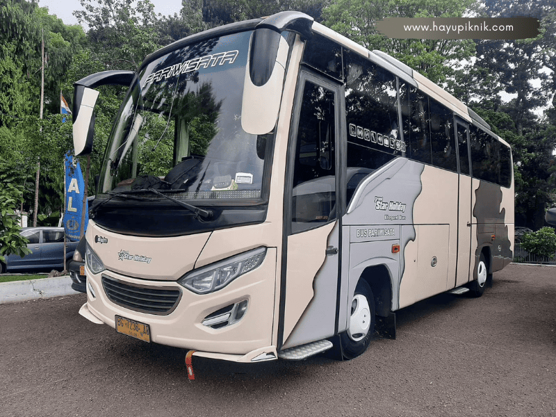 Medium Bus 35 Seat